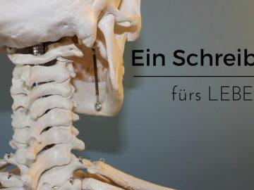 Ein Schreibtisch fürs Leben. Ein höhenverstellbarer Schreibtisch von Mollfunktion vorgestellt auf kinderalltag.de