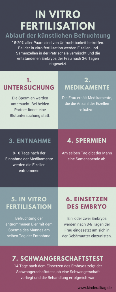 Infografik zu IVF - in vitro fertilisation auf kinderalltag.de