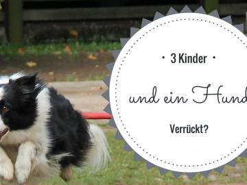 3 Kinder und ein Hund - Verrückt? auf kinderalltag.de