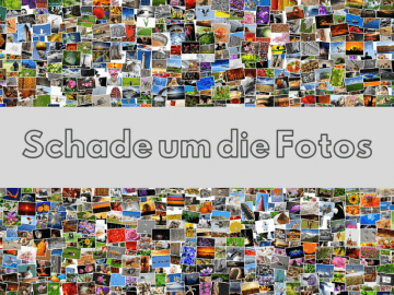 Schade um die Fotos auf kinderalltag.de