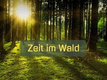 Zeit im Wald auf kinderalltag.de